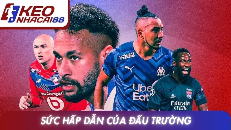 Sức hấp dẫn của đấu trường